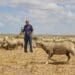 Despite facing great adversity in 2021, Ivan Cloete is hard at work growing his farming business in Darling, Western Cape. Photo: Duncan Masiwa/Food For Mzansi
