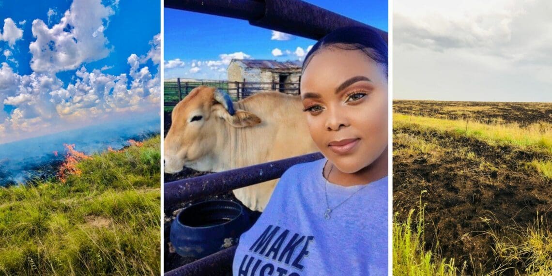 On New Year's Day, North West farmer Keneilwe Raphesu had to watch 50 hectares of her farm burn away. Photo: Supplied/Food For Mzansi