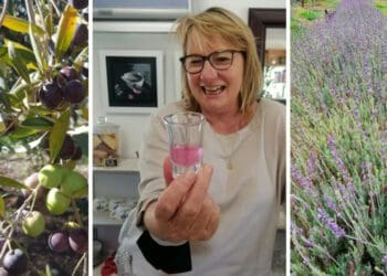 Owl's Rest farm houses everything from lavender-based shampoo to extra virgin olive oil, grown and processed on the farm itself. Photos: Supplied/Food For Mzansi