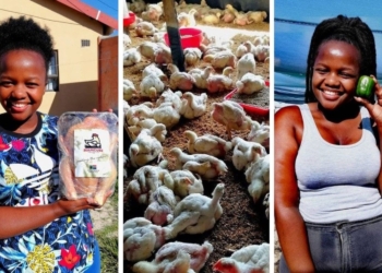 A lot has happened since Food For Mzansi last spoke to Ncumisa Mkabile. She's not just a spinach queen anymore... Photos: Supplied/Ncumisa Mkabile