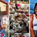 A lot has happened since Food For Mzansi last spoke to Ncumisa Mkabile. She's not just a spinach queen anymore... Photos: Supplied/Ncumisa Mkabile