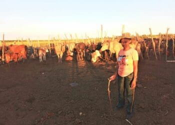 Despite facing a slew of challenges, this Northern Cape livestock farmer, Onthatile Nkunika, is determined to make it her life's success. Photo: Supplied/Food For Mzansi