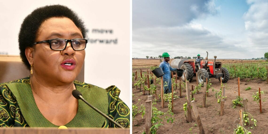 The department of agriculture, land reform and rural development (DALRRD) has informed subsistence farmers who are beneficiaries of the Presidential Employment Stimulus Initiative (PESI) of its decision to suspend all PESI implementation with immediate effect, until further notice. Photo: Supplied/Food For Mzansi