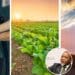 Cheaper fuel this month will provide some relief to farmers, but experts are not convinced lower prices will become a trend. Photos: Supplied/Food For Mzansi