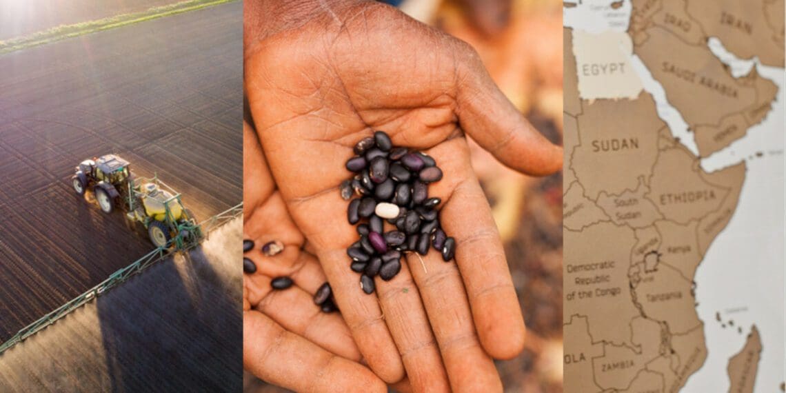Climate-smart agriculture was among the topics discussed in detail at the Pan-African Summit on Youth in Sustainable Agriculture, hosted by Food For Mzansi. Photos: Supplied/Food For Mzansi