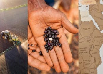 Climate-smart agriculture was among the topics discussed in detail at the Pan-African Summit on Youth in Sustainable Agriculture, hosted by Food For Mzansi. Photos: Supplied/Food For Mzansi