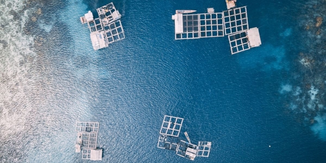 Aquaculture is high on this week's agricultural agenda. Photo: Hanson Lu/Unsplash