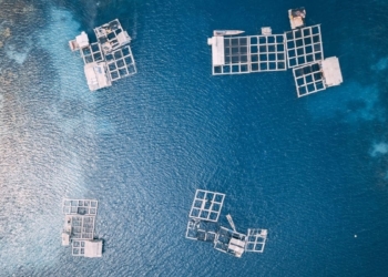 Aquaculture is high on this week's agricultural agenda. Photo: Hanson Lu/Unsplash