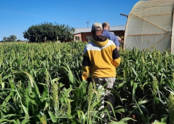 Take a gap year to dip your boots into farming