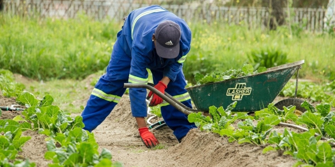 Planning your labour needs accurately is critical to a successful business plan. Photo: Anaya Katlego/Unsplash