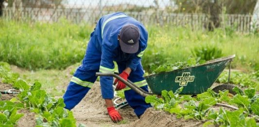 Planning your labour needs accurately is critical to a successful business plan. Photo: Anaya Katlego/Unsplash