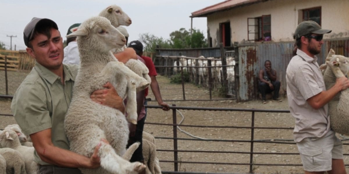 Qualifications at Peritum Agri offer the best of both a full-time job and distance learning experience. Photo: Supplied/Food For Mzansi