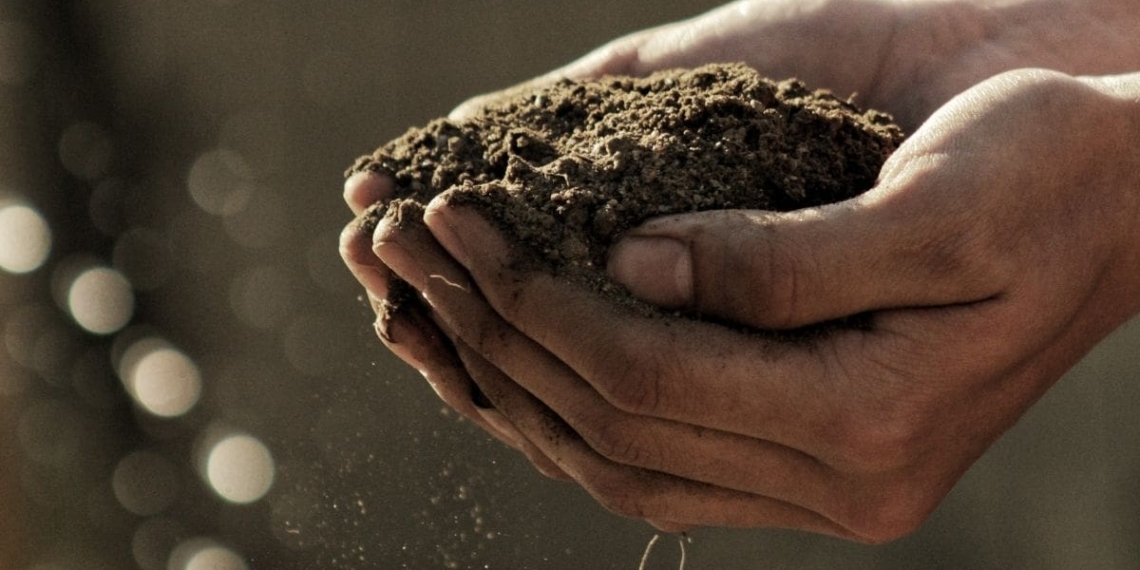 The Andermatt Madumbi Root Health programme provides crop farmers with exactly what they need to ensure a resilient, nutrient-heavy crop. Photo: Gabriel Jimenez/Unsplash