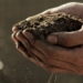 The Andermatt Madumbi Root Health programme provides crop farmers with exactly what they need to ensure a resilient, nutrient-heavy crop. Photo: Gabriel Jimenez/Unsplash