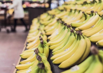 A call to South Africans to refrain from sharing false and malicious information about imported bananas from Somalia containing helicobacter. Photo: Supplied/Food For Mzansi
