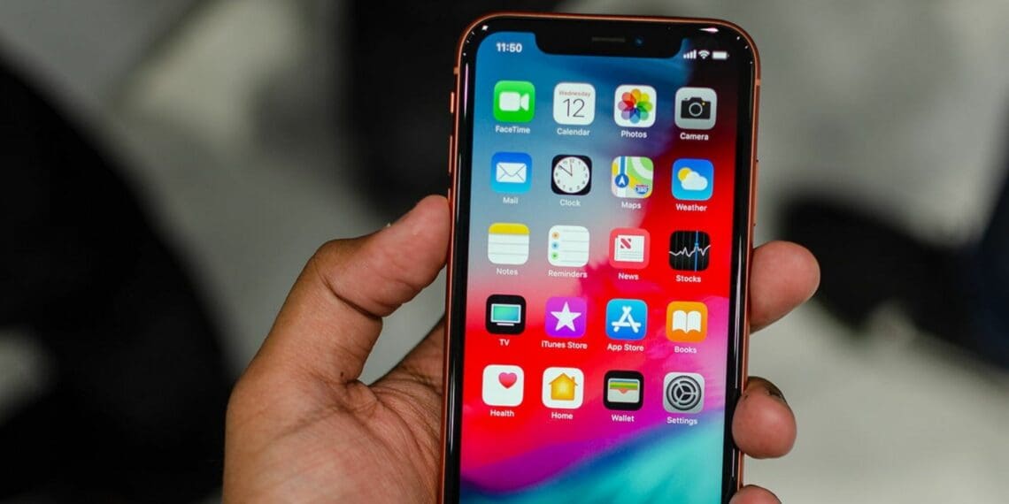 AgriSETA is confident that its new Connect ME app will fast-track the recruitment of young graduates to the agricultural sector. Photo: Supplied/Food For Mzansi