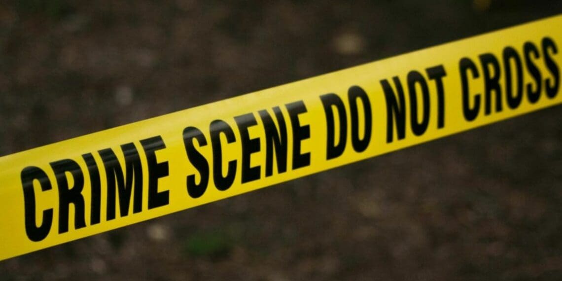 Worrying trend: Farm attacks on the rise as calls to act grow