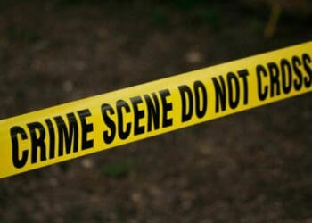 Worrying trend: Farm attacks on the rise as calls to act grow