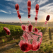 ICYMI: 'It's high time we protect our food security guardians'