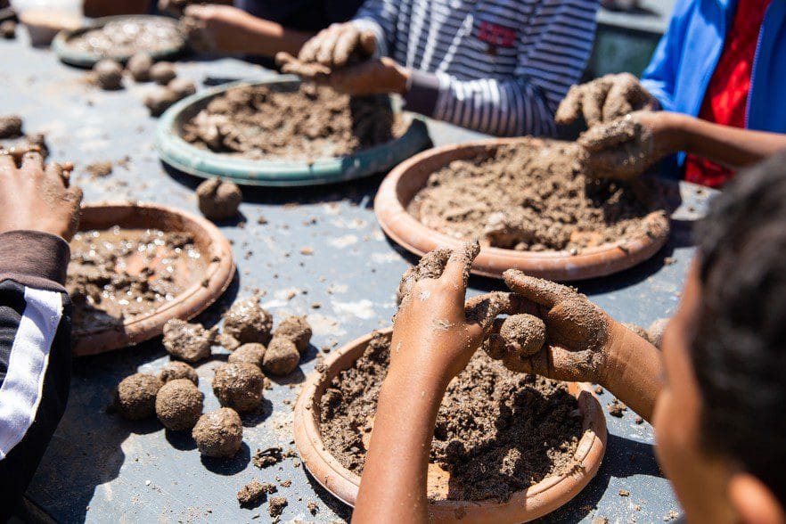 Seed bombs are balls made out of clay, soil and water. Indigenous seeds are put inside and the ball is left in the sun to harden.