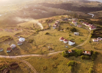 The Eastern Cape rural development and agrarian reform department has announced a ground-breaking, 10-year, multibillion-rand agreement with the department of defence that will see black farmers supplying army bases with agricultural produce. Photo: Supply/Unsplash