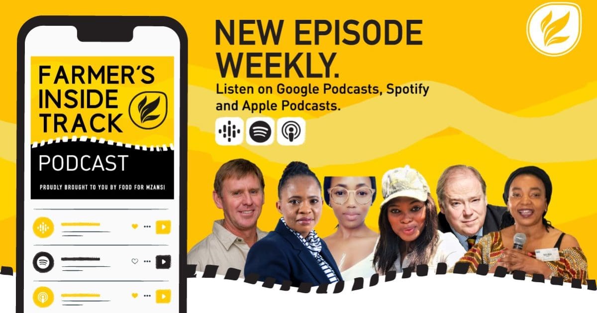 Podcast: Mzansi learned that food safety affects us all - Vimarsana News