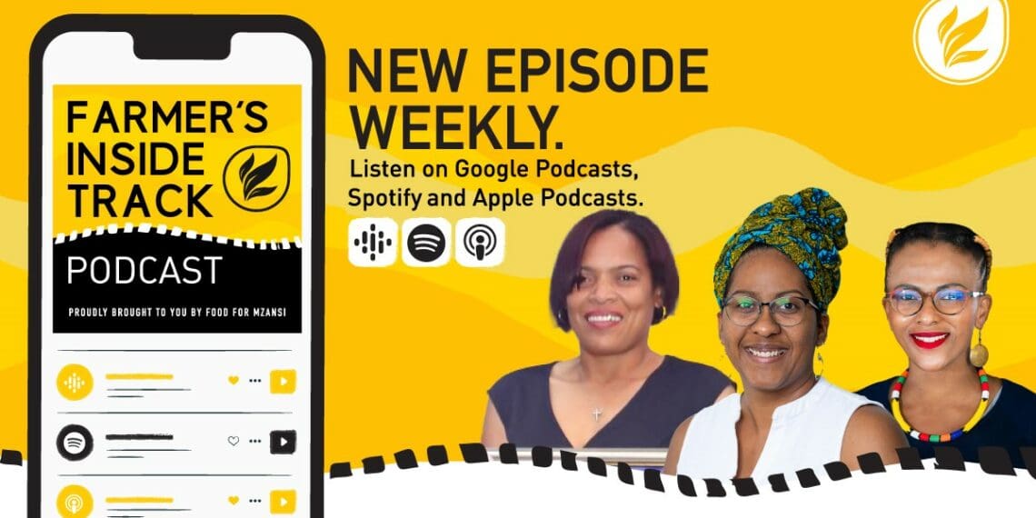 This week’s podcast features (from left) Audrey September, Dawn Nomdoe and Zoleka Lisa. Photos: Supplied/Food For Mzansi