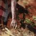 The Eastern Cape has earned a reputation for blatant corruption and farmers who are trying to establish themselves are often overlooked. Photo: Supplied/Food For Mzansi