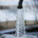Johannesburg urban farmers area heaving a collective sigh of relief after Rand Water announced that it had finished its scheduled maintenance. Photo: Supplied/Pexels