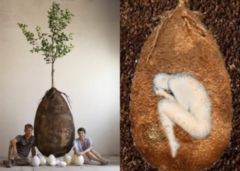 Two Italian designers, Raul Bretzel and Anna Citelli, designed a concept called Capsula Mundi pod or urn. Photo: Supplied/Food For Mzansi