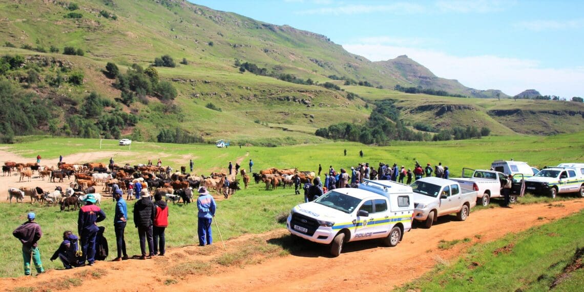 Farmers attending a ministerial Imbizo held at Loskop where concerns were raised concern about the high levels of crime especially those related to the theft of livestock. Photo: Supplied/SAPS