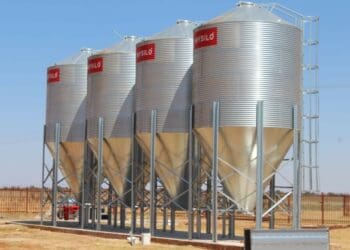 The Kgora centre recently added grain silos to its infrastructure. Photo: Supplied/Food For Mzansi