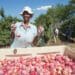 The plum season is underway with a 4% rise in exports predicted. Photo: Supplied/Food For Mzansi