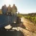 Agricultural employment increased by 3% year on year to 829 000. Photo: Supplied/Food For Mzansi