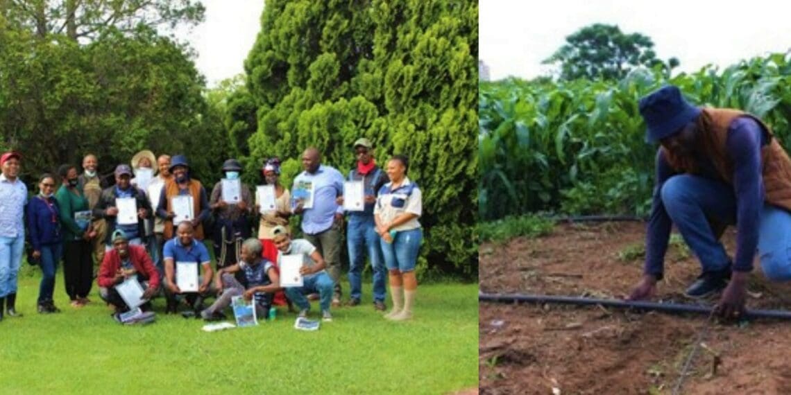A total of 60 farmers attended the course, to learn more about water-saving technologies. Photo: Supplied/Food For Mzansi