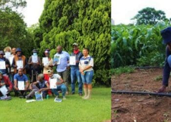 A total of 60 farmers attended the course, to learn more about water-saving technologies. Photo: Supplied/Food For Mzansi