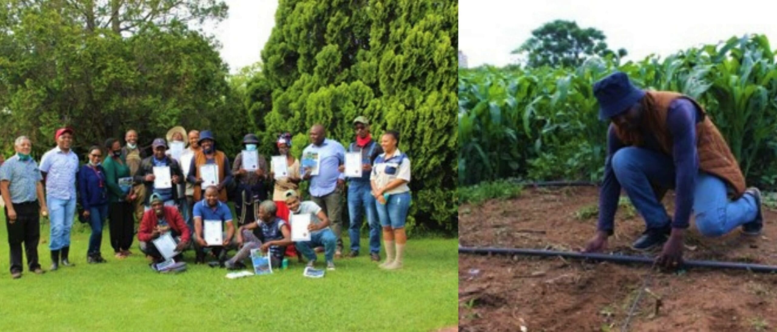 Farmers trained to reduce water wastage in irrigation - Food For Mzansi