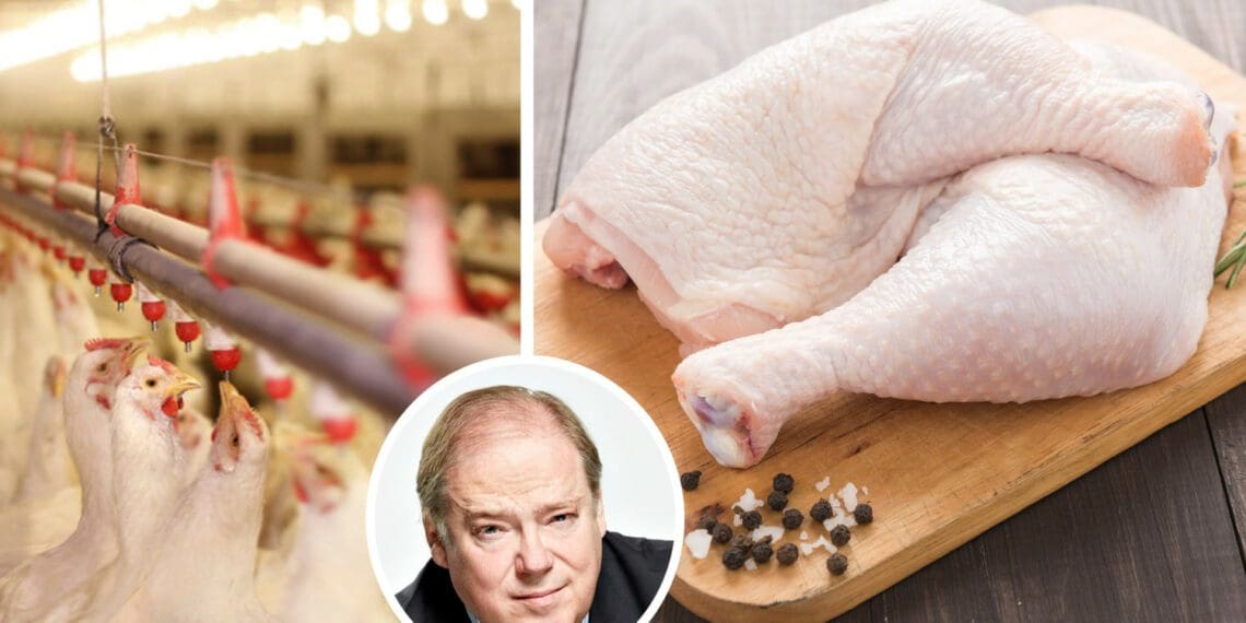 A call by Mzansi's poultry industry for speedier action on anti-dumping applications has been heeded. Photo: Supplied/Pexels