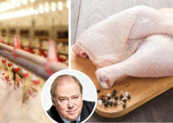 A call by Mzansi's poultry industry for speedier action on anti-dumping applications has been heeded. Photo: Supplied/Pexels
