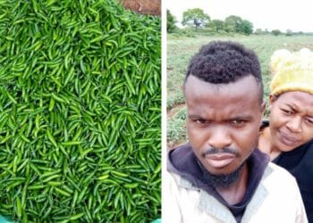 Ndivhuho Nengwenani dedicates the success he has achieved to his wife, Lutendo. Photo: Supplied/Food For Mzansi