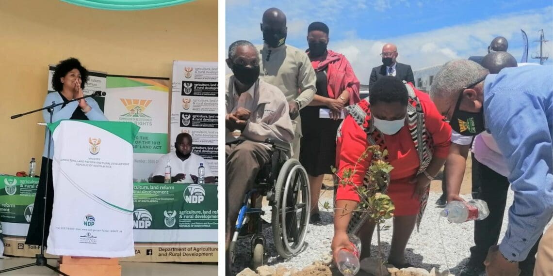 Chief land claims commissioner, Nomfundo Ntloko-Gobodo (right) joined minister Thoko Didiza in a tree planting ceremony. Photo: Supplied/Reggie Ngcobo