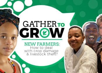 Gather to grow session on crop damage and livestock theft