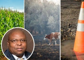 The number one priority for the new Free State MEC for agriculture and rural development is to return the province to its former status as the food basket of the country. Photos: Supplied/Food For Mzansi