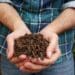 Agriculture trends on the World Bank agenda in 2021 included greener food security and insect farming.