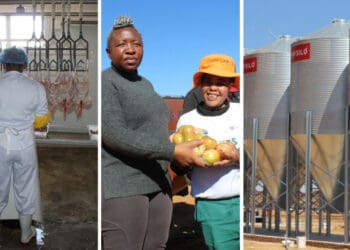 North West agriculture and rural development MEC Desbo Mohono has visited the Kgora training centre in the past, but has also welcomed the newly added infrastructure and training courses at the facility. Photos: Supplied/Food For Mzansi