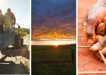 AFASA feels the parliamentary vote of 7 December 2021 was a missed opportunity to give the country's black farmers access to their own land. Photo: Supplied/Food For Mzansi