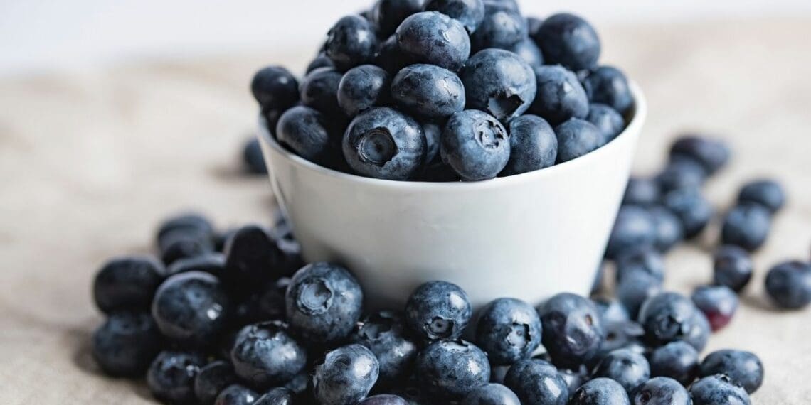 Blueberries are one of the niche markets with the biggest potential for further growth in 2022. Photo: Joanna Kosinska/Unsplash