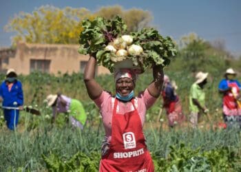 Volunteer Ruth Makamo harvesting vegetables for the gardening project in one of the NOSA Early Learning Centre gardens. Supplied: Food For Mzansi