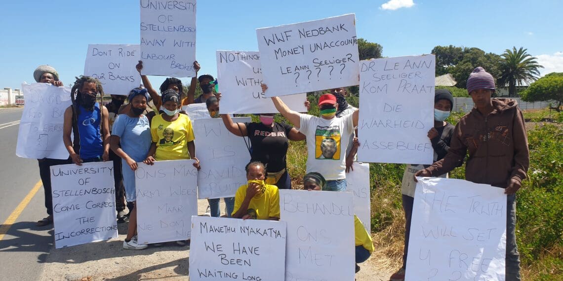 About 20 people picketed on Olieboom Road at the Philippi Horticultural Area in the Western Cape last week. Photo: Mary-Anne Gontsana/GroundUp