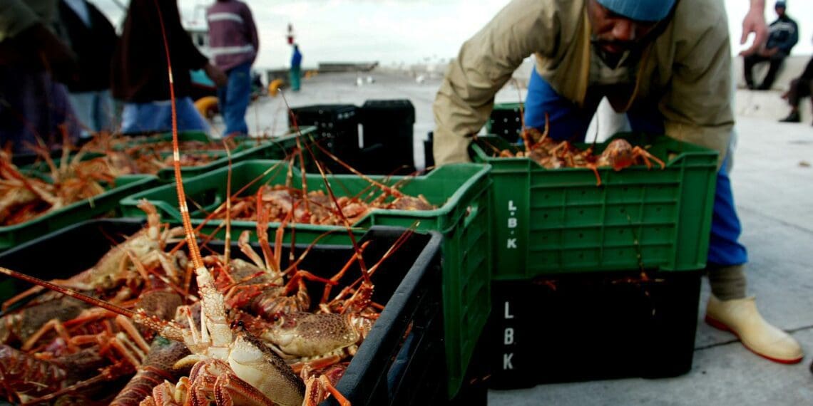 'Small-scale fishers cast aside since apartheid'
